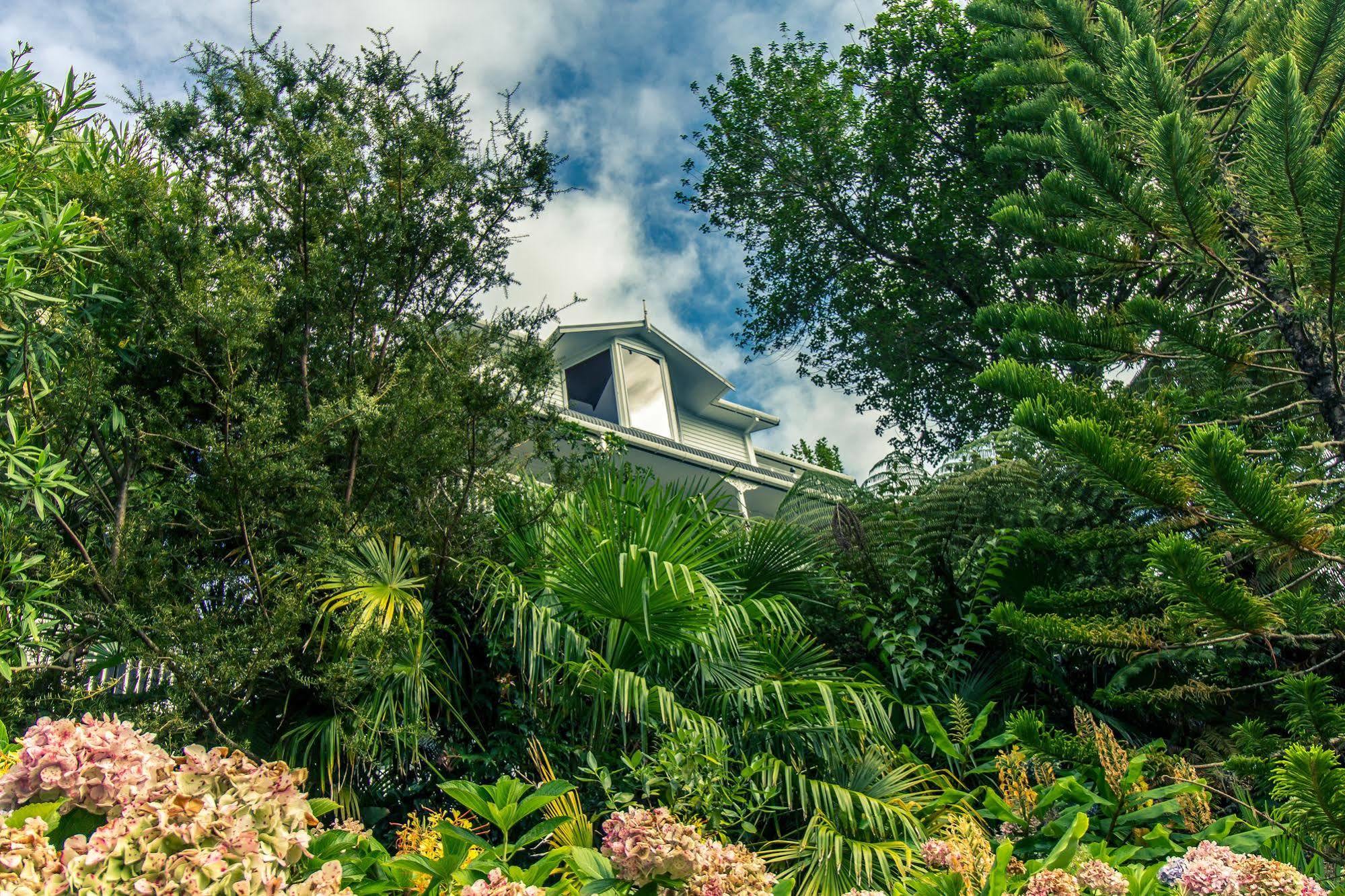 Marlin House Bed and Breakfast Paihia Exteriör bild